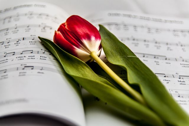 populair uitvaartmuziek